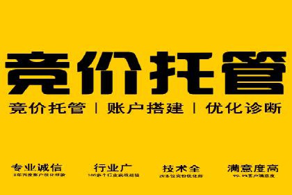 行业领先企业的SEM竞价代运营案例解析